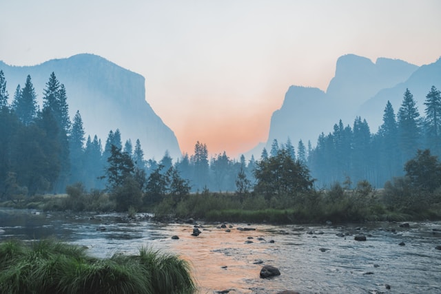 锦衣月明封面